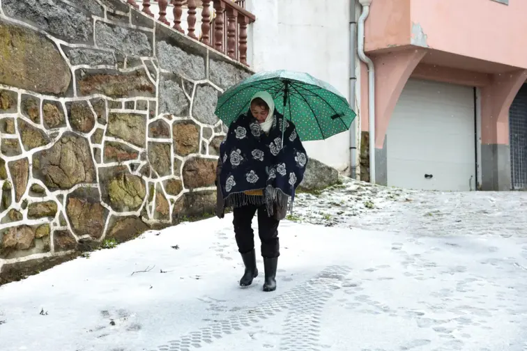 Neve em Cinfães (Lusa /Paulo Novais)